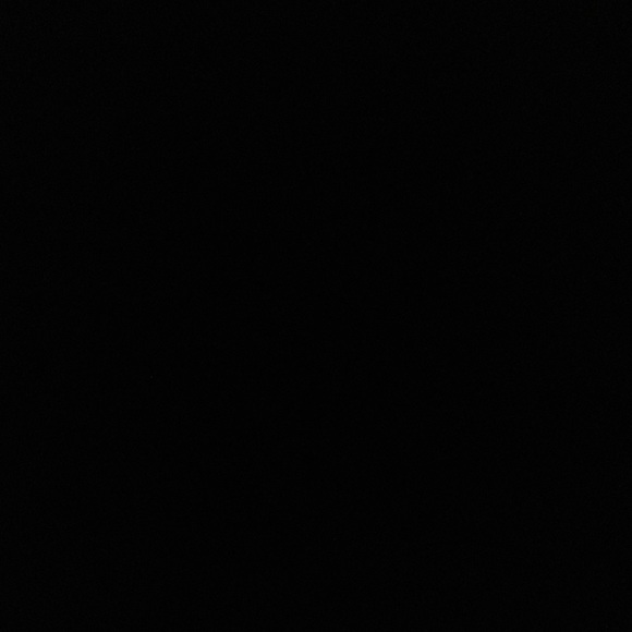 Coach Wristlet - Picture 7 of 12